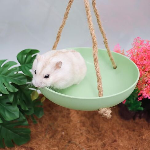 Frog Swing Toys, Gecko Swing Toys, Plastic Reptile Amphibian Climbing Toys, Tank Aquarium Terrarium Decoration Accessories, Suitable for Frog Gecko Lizard Chameleon Hermit Crab Hamsters Rats in Saudi Arabia