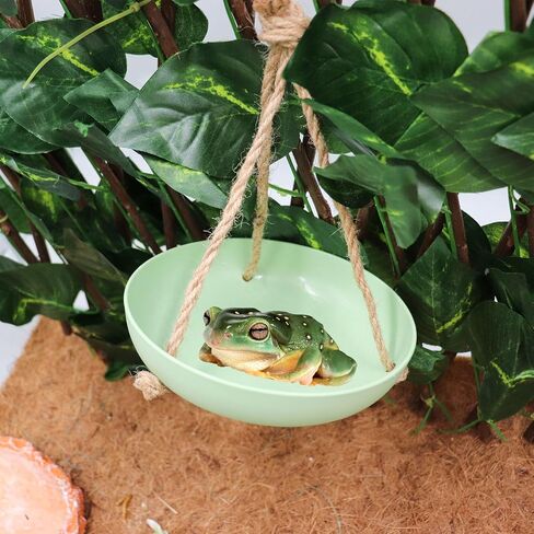 Frog Swing Toys, Gecko Swing Toys, Plastic Reptile Amphibian Climbing Toys, Tank Aquarium Terrarium Decoration Accessories, Suitable for Frog Gecko Lizard Chameleon Hermit Crab Hamsters Rats in Saudi Arabia