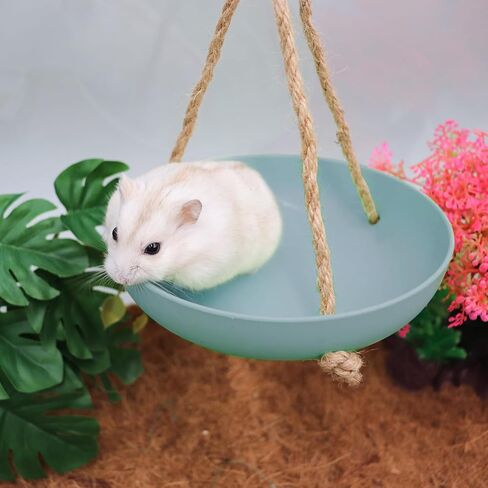 Frog Swing Toys, Gecko Swing Toys, Plastic Reptile Amphibian Climbing Toys, Tank Aquarium Terrarium Decoration Accessories, Suitable for Frog Gecko Lizard Chameleon Hermit Crab Hamsters Rats in Saudi Arabia