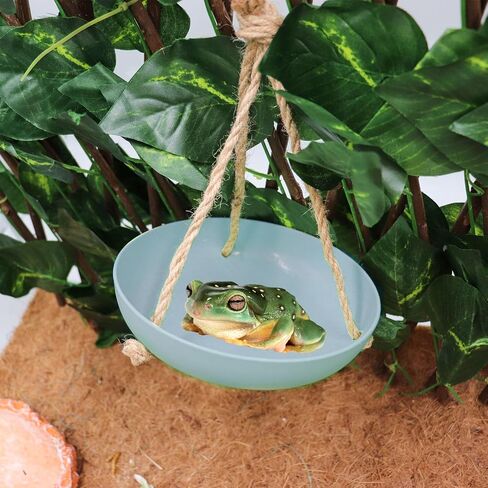 Frog Swing Toys, Gecko Swing Toys, Plastic Reptile Amphibian Climbing Toys, Tank Aquarium Terrarium Decoration Accessories, Suitable for Frog Gecko Lizard Chameleon Hermit Crab Hamsters Rats in Saudi Arabia
