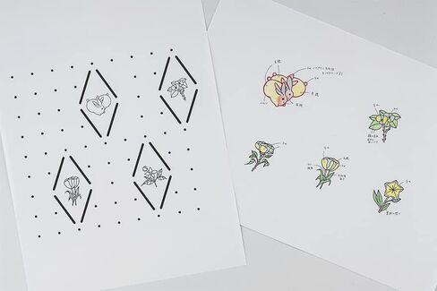 Hobonichi Techo Cousin Cover [غلاف بحجم A5 فقط] PYT: طوكيو في إزهار/أرانب in Saudi Arabia