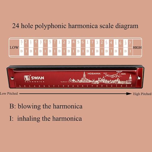 Harmonica Mouth Organ Harp Armonica 24 Hole Key of C Diatonic Polyphonic Blues Harmonica Professional Music Instrument for Kids Adults Beginner Gift in Kuwait