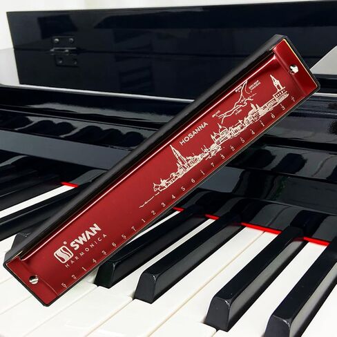 Harmonica Mouth Organ Harp Armonica 24 Hole Key of C Diatonic Polyphonic Blues Harmonica Professional Music Instrument for Kids Adults Beginner Gift in Kuwait