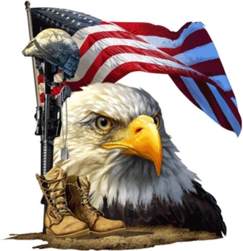 Built USA - Salute Our Flag Bald Eagle American Flag Waterproof Vinyl Decal - 7" - 1 Pack in Saudi Arabia