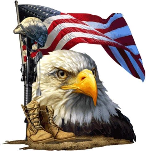 Built USA - Salute Our Flag Bald Eagle American Flag Waterproof Vinyl Decal - 7" - 1 Pack in Saudi Arabia