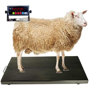 PEC Livestock Animal Scale/Farm Animal Scales for Weighing Small to Medium Sized Animals, Lamb, Goat, Sheep, Pigs, hogs, Donkey, Calf, Digital Indicator Included, Capacity 700lbs (44" x 22")