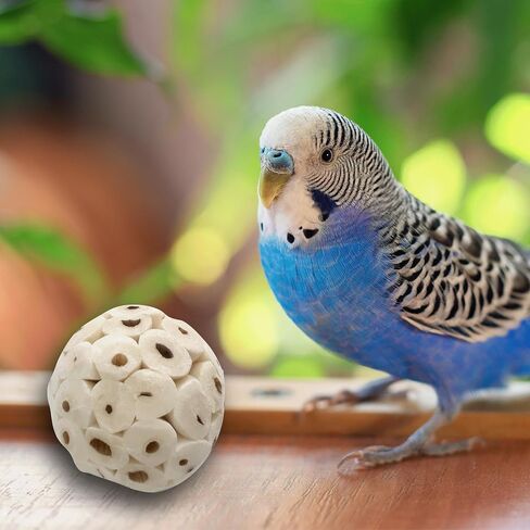 5124 MINI SOLA BALLS PK18 - SOLA SOLA SOLA WOOD BIRD TOYS ، كرات قابلة للمضغ صغيرة الحجم ، والوزن الخفيف ، والمنقار والقدمين ، لذيذ لطيور الحيوانات الأليفة الصغيرة الحجم in Kuwait