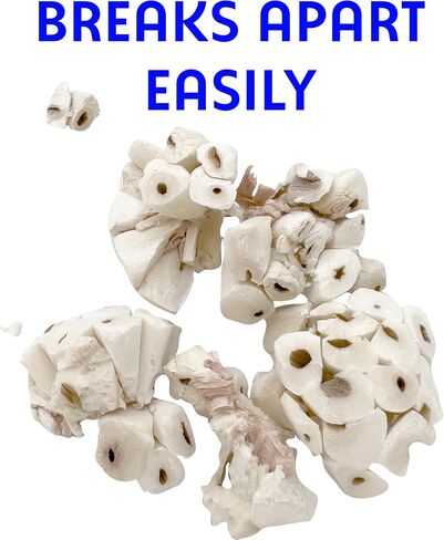 5124 MINI SOLA BALLS PK18 - SOLA SOLA SOLA WOOD BIRD TOYS ، كرات قابلة للمضغ صغيرة الحجم ، والوزن الخفيف ، والمنقار والقدمين ، لذيذ لطيور الحيوانات الأليفة الصغيرة الحجم in Kuwait