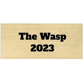 Custom Perpetual Plaque, Employee of The Month, Salesman of The Month Appreciation Award Gold Plates on Wood Grain Pressed Board (1 Extra Name Plate)
