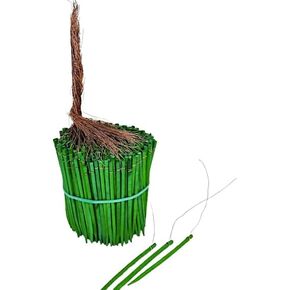 Wired Wood Picks 4" or 6", 400 Picks, Green Wood with Copper Wires (6 Inch 11.5 oz 400 Pcs)