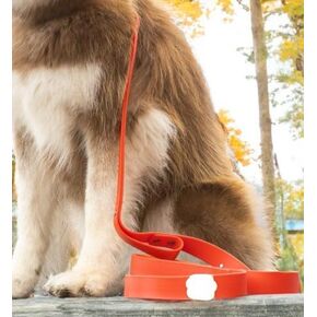 Waterproof Leash Red/Orange