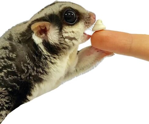 Yogu Drops With Blueberry - Healthy Natural Fruit & Yogurt Treat - For Sugar Gliders, Rats, Chinchillas, Ferrets, Parrots, Hamsters, Hedgehogs, Guinea Pigs, Rabbits & Small Pets (4.25 Ounce) in Saudi Arabia