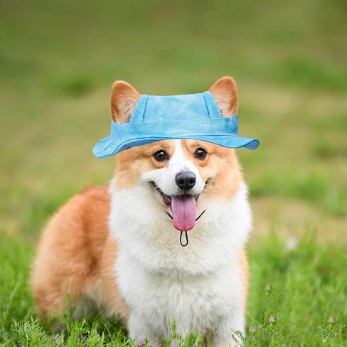 Dog Sun Hat,1PC Adjustable Princess Dog Bucket Hat with Ear Holes,Round Brim Dogs Visor Cap Pet Fisherman Hat for Pupies Small Dogs Cat Outdoor Sport (Blue, Medium) in Saudi Arabia