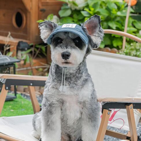 Pet Dog Baseball Cap, Cat Hat, Cat Dog Sun Cap with Ear Holes, Adjustable Puppy Outdoor Sun Hat (Blue, Small) in Kuwait