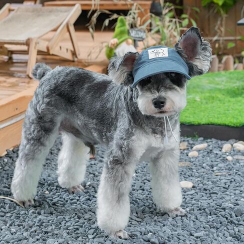 Pet Dog Baseball Cap, Cat Hat, Cat Dog Sun Cap with Ear Holes, Adjustable Puppy Outdoor Sun Hat (Blue, Small) in Kuwait