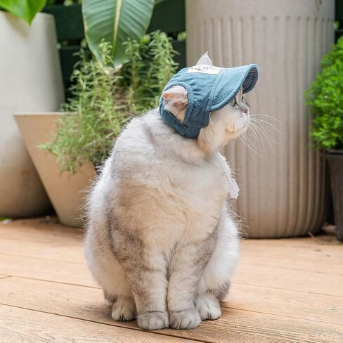 Pet Dog Baseball Cap, Cat Hat, Cat Dog Sun Cap with Ear Holes, Adjustable Puppy Outdoor Sun Hat (Blue, Small) in Kuwait