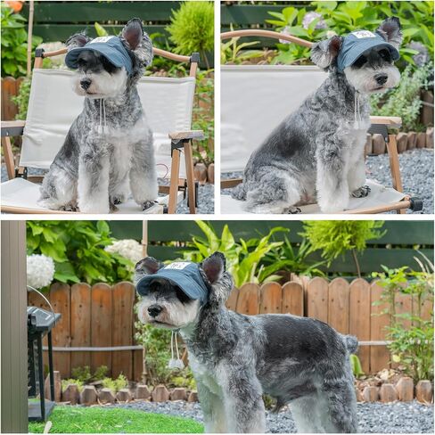 Pet Dog Baseball Cap, Cat Hat, Cat Dog Sun Cap with Ear Holes, Adjustable Puppy Outdoor Sun Hat (Blue, Small) in Kuwait