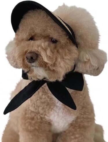 Handmade Straw Dog Hat & Visor - Adjustable for Small Dogs (Teddy, Bichon) w/Ear Holes, Chin Strap | Beach-Ready (Black,Medium) in Saudi Arabia