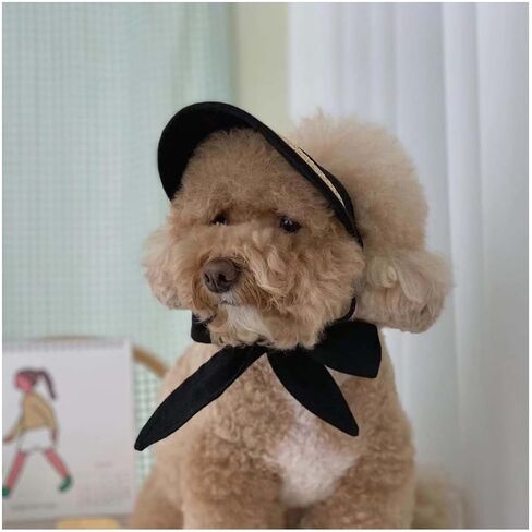 Handmade Straw Dog Hat & Visor - Adjustable for Small Dogs (Teddy, Bichon) w/Ear Holes, Chin Strap | Beach-Ready (Black,Medium) in Saudi Arabia