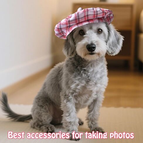 SEIS 3 PCS DOG BERETS FASHING ATH HAT French Artist Cat Cap Cap Cap for Party Birthday Wedding Photo (L ، Retro) in Kuwait