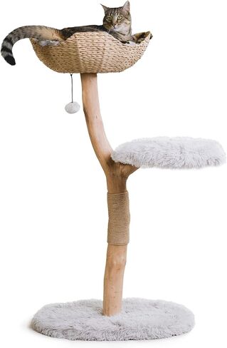 Wooden Cat Climbing Tree Tower, Modern Single Branch Cat Condo, Wood, Cat Lover Furniture Gift by MAU LIFESTYLE (Alpine White) in Saudi Arabia