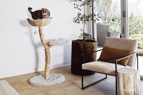 Wooden Cat Climbing Tree Tower, Modern Single Branch Cat Condo, Wood, Cat Lover Furniture Gift by MAU LIFESTYLE (Alpine White) in Saudi Arabia