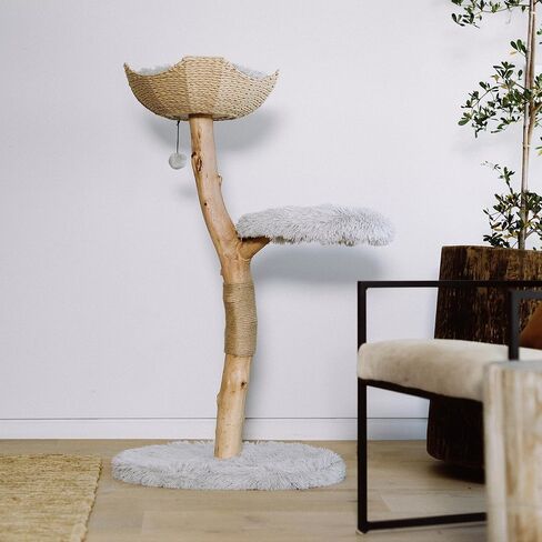 Wooden Cat Climbing Tree Tower, Modern Single Branch Cat Condo, Wood, Cat Lover Furniture Gift by MAU LIFESTYLE (Alpine White) in Saudi Arabia