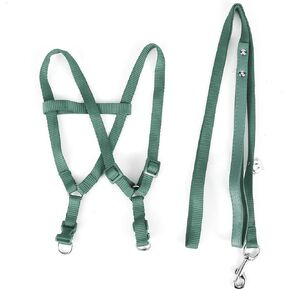 Pet Parrots Bird Harness and Leash for Macaw Cockatoos, Adjustable Anti-Bite Training Bird Nylon Harness Leash for Parrots Macaw Cockatoos, Green, L