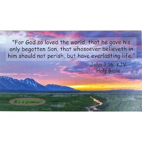 A Sinner's Prayer Pocket Scripture Cards, Gospel Tracts, Bible Verse Cards, John 3:16, 3.5x2", 50 Cards
