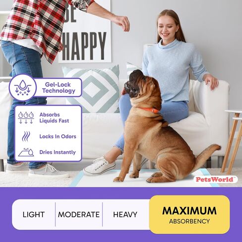 Petsworld 2XL PATS ، 28 × 44 بوصة ، 100 عدد | فائض فائقة ، فائقة الكلب ، منصات تبول الكلاب المقاومة للتسرب للتدريب على القعادة in Kuwait