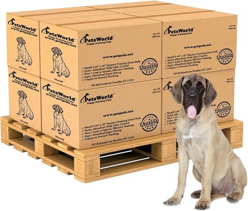 Petsworld 2XL PATS ، 28 × 44 بوصة ، 100 عدد | فائض فائقة ، فائقة الكلب ، منصات تبول الكلاب المقاومة للتسرب للتدريب على القعادة in Kuwait