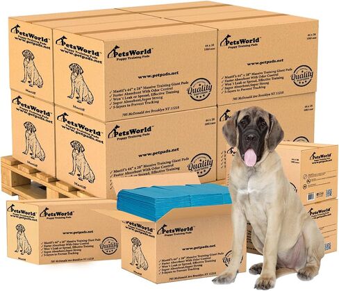 Petsworld 2XL PATS ، 28 × 44 بوصة ، 100 عدد | فائض فائقة ، فائقة الكلب ، منصات تبول الكلاب المقاومة للتسرب للتدريب على القعادة in Kuwait