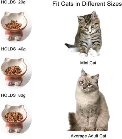 Nihow Elevated Cat Bowls,5 Inch Ceramic Raised Cat Food Bowl for Feeding in Kuwait