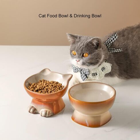 Nihow Elevated Cat Bowls,5 Inch Ceramic Raised Cat Food Bowl for Feeding in Kuwait