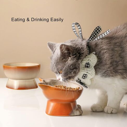 Nihow Elevated Cat Bowls,5 Inch Ceramic Raised Cat Food Bowl for Feeding in Kuwait