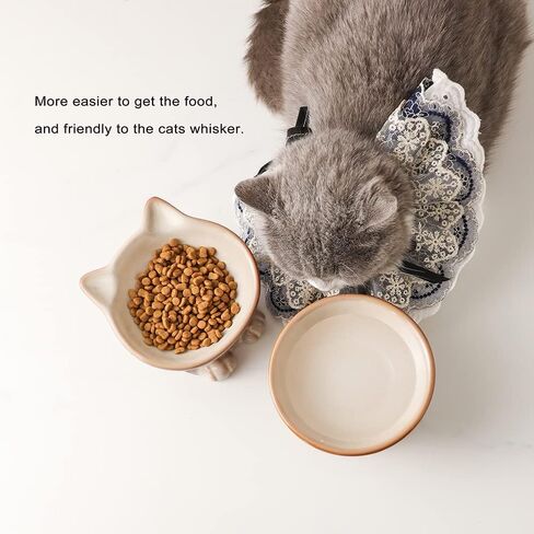 Nihow Elevated Cat Bowls,5 Inch Ceramic Raised Cat Food Bowl for Feeding in Kuwait