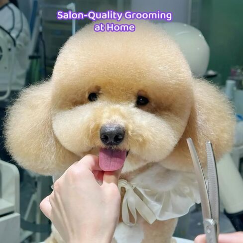 8-in-1 Dog Grooming Kit with Stainless Steel Scissors Professional Dog Trimmer for Grooming Ergonomic Curved Dog Grooming Scissors Perfect for Small and Large Dogs in Kuwait