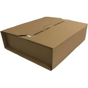 OFFICE DEPOT MASTER EXPEDITION CASE 310 X 250 X 100 MM LOT: 25