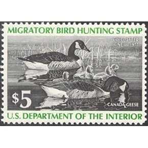 Scott RW43 $5 Federal Duck Stamp Mint Very Fine. Never Been Hinged.