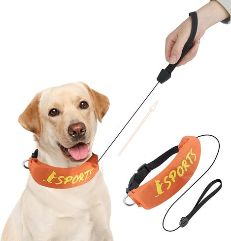 Lesypet 2 in 1 Retractable Dog Leash Collar, Hands-Free Dog Walking Collar with Retractable Leash for Medium Large Breed Dog Outdoor, Orange L in Saudi Arabia