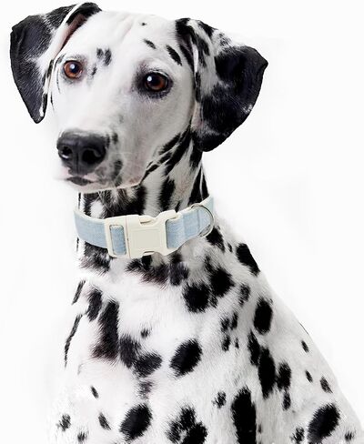 Cotton Hemp Dog Collar Adjustable, Light Blue Dog Collar Soft Natural Fabric with Quick Release, Cute Wedding Puppy Necklace for Small Medium Large Dog, Light Blue-M in Kuwait