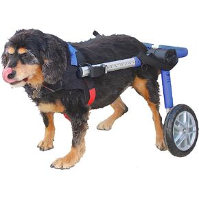 Walkin' Wheels Dog Wheelchair - for Medium Dogs 26-49 lbs - Veterinarian Approved - Dog Wheelchair for Back Legs