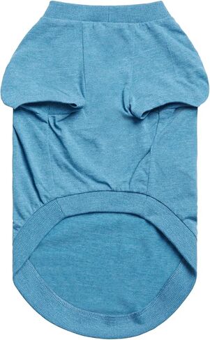 Graphic Tee Dog T-Shirt (Heather Blue, XX-Small) in Kuwait