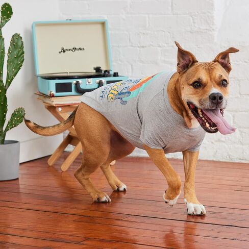 Graphic Tee Dog T-Shirt (Heather Blue, XX-Small) in Kuwait