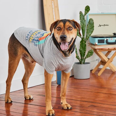 Graphic Tee Dog T-Shirt (Heather Blue, XX-Small) in Kuwait