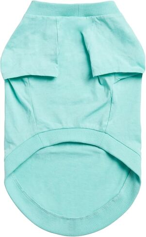 Graphic Tee Dog T-Shirt (Heather Blue, XX-Small) in Kuwait