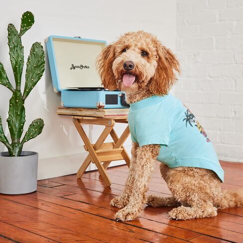 Graphic Tee Dog T-Shirt (Heather Blue, XX-Small) in Kuwait