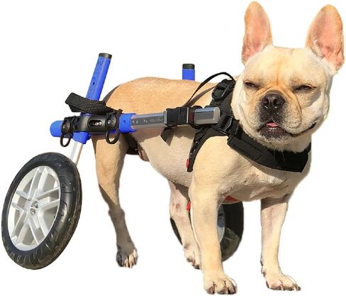 Walkin' Wheels Small Dog Wheelchair, Lightweight Dog Wheelchair for Back Legs, 15-25 lbs, for 6-8 inches Leg Height - Blue in Kuwait