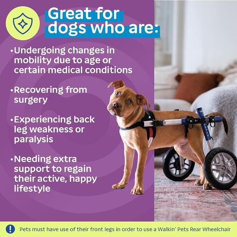 Walkin' Wheels Small Dog Wheelchair, Lightweight Dog Wheelchair for Back Legs, 15-25 lbs, for 6-8 inches Leg Height - Blue in Kuwait