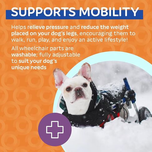 Walkin' Wheels Small Dog Wheelchair, Lightweight Dog Wheelchair for Back Legs, 15-25 lbs, for 6-8 inches Leg Height - Blue in Kuwait